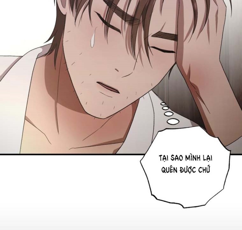 Tôi Bị Cắn Bởi Chú Chó Tôi Đã Bỏ Rơi 
