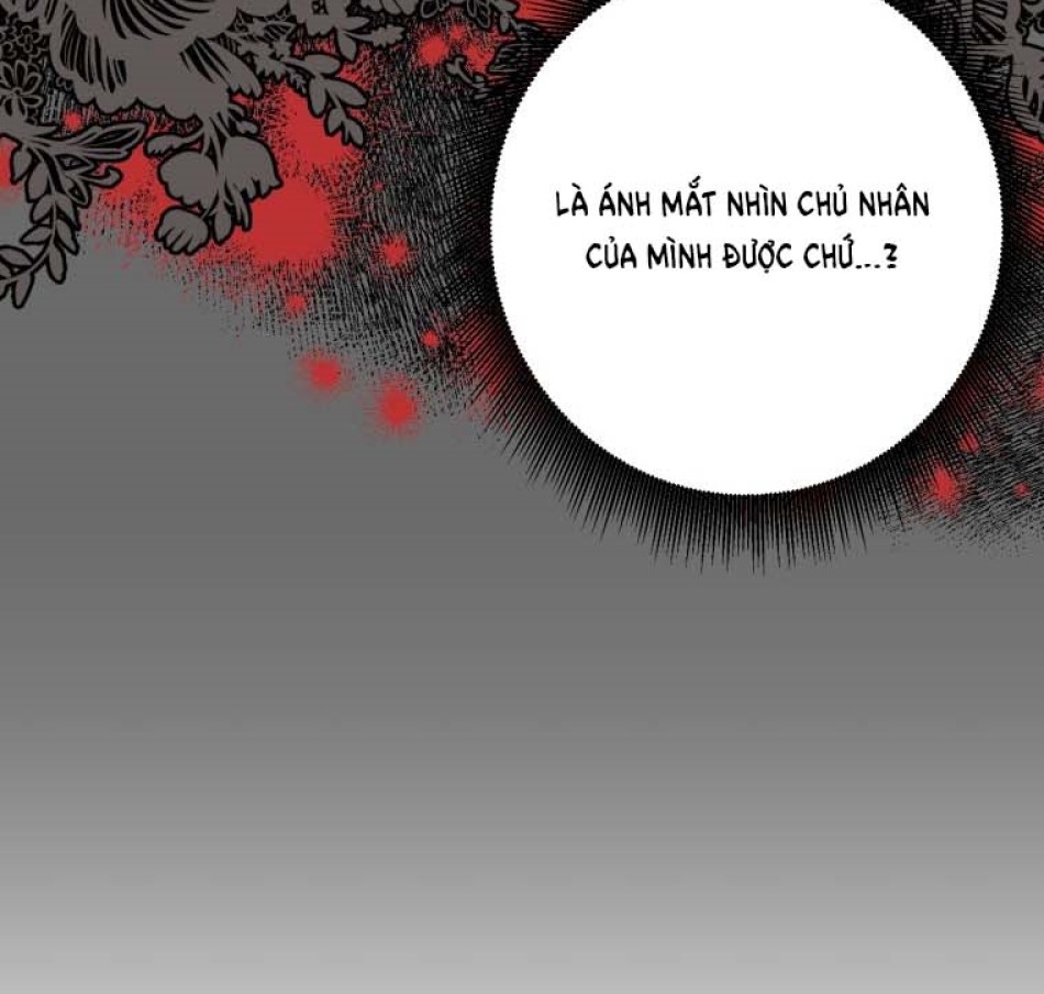 Tôi Bị Cắn Bởi Chú Chó Tôi Đã Bỏ Rơi 
