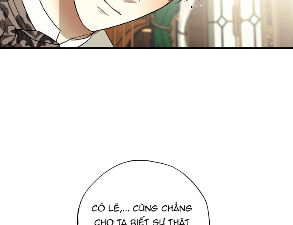 Tôi Bị Cắn Bởi Chú Chó Tôi Đã Bỏ Rơi 