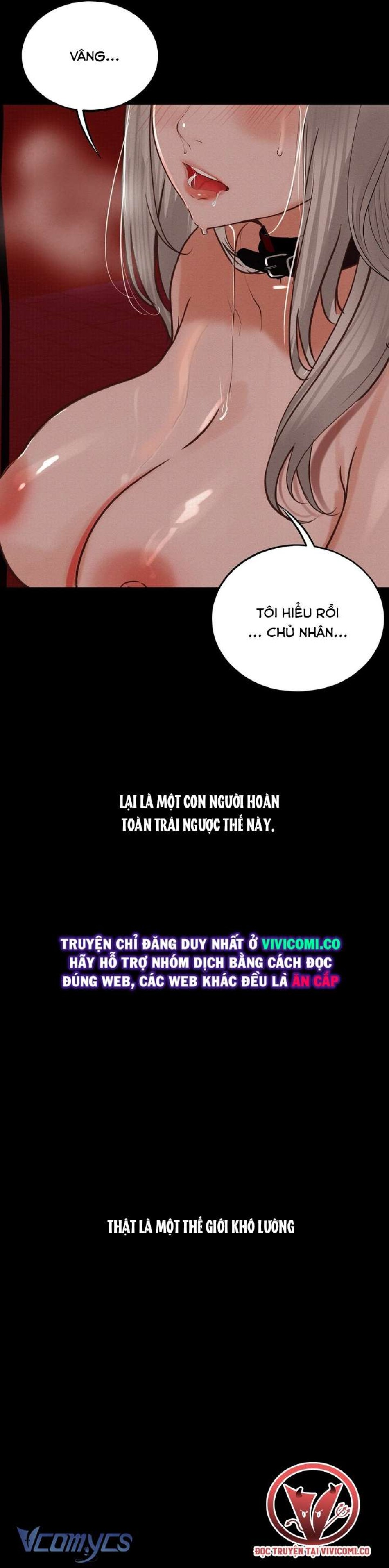 Tôi Bị Cắn Bởi Chú Chó Tôi Đã Bỏ Rơi 