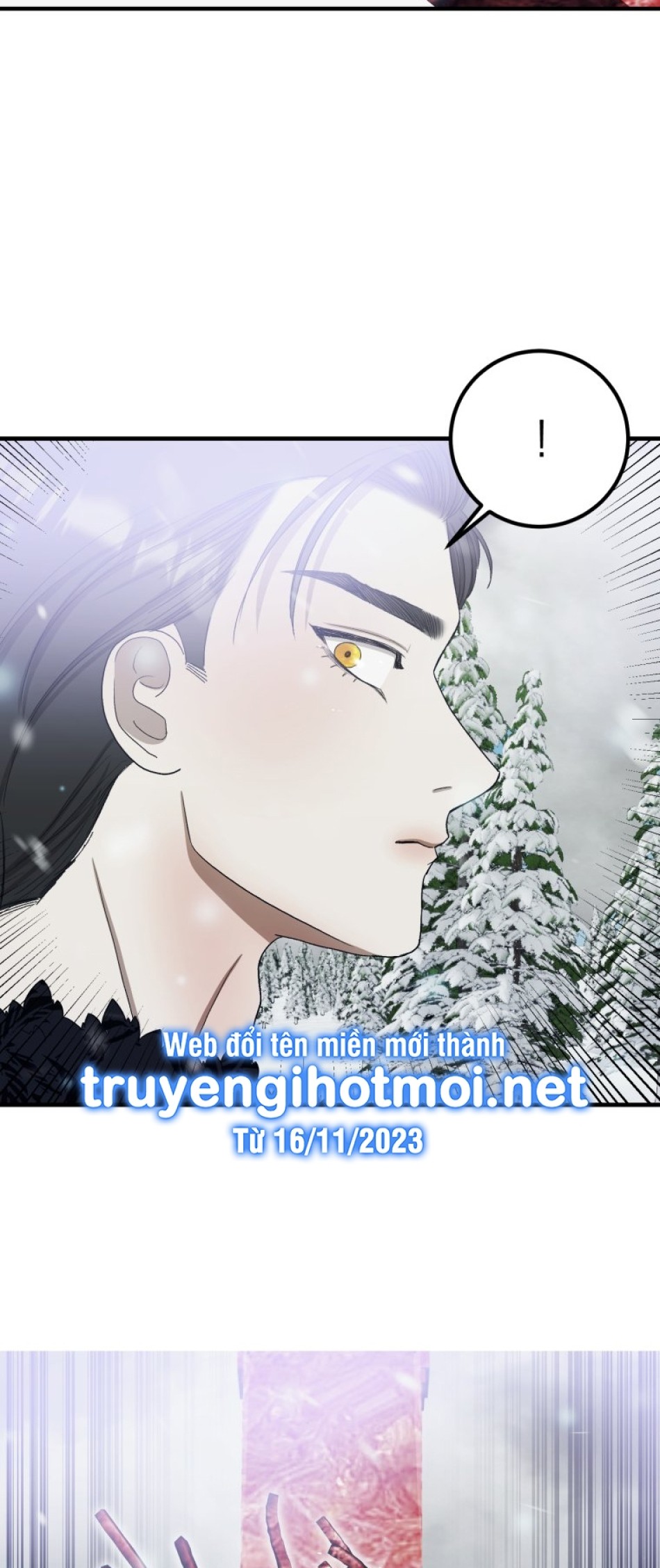 Tôi Bị Cắn Bởi Chú Chó Tôi Đã Bỏ Rơi 