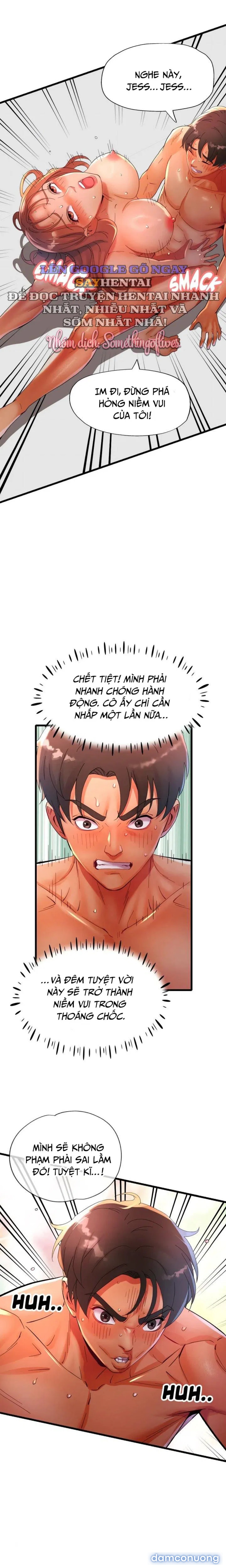 Công Việc Thú Vị 