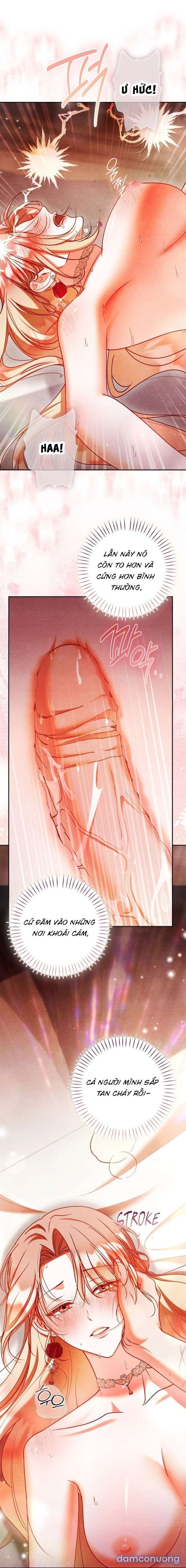 [ KHÔNG CHE 18+ ] Đêm Thoải mái 