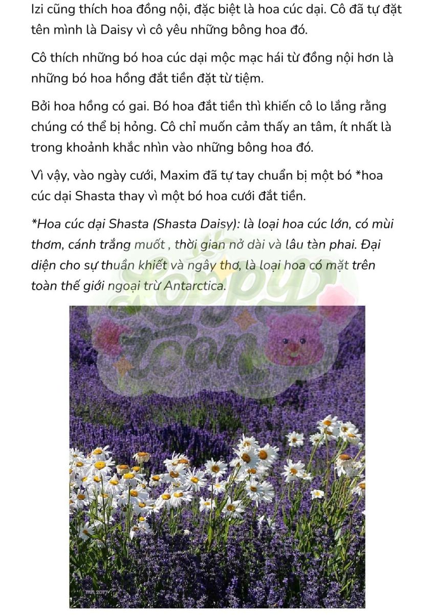 [Novel] Trận Chiến Ly Hôn! 