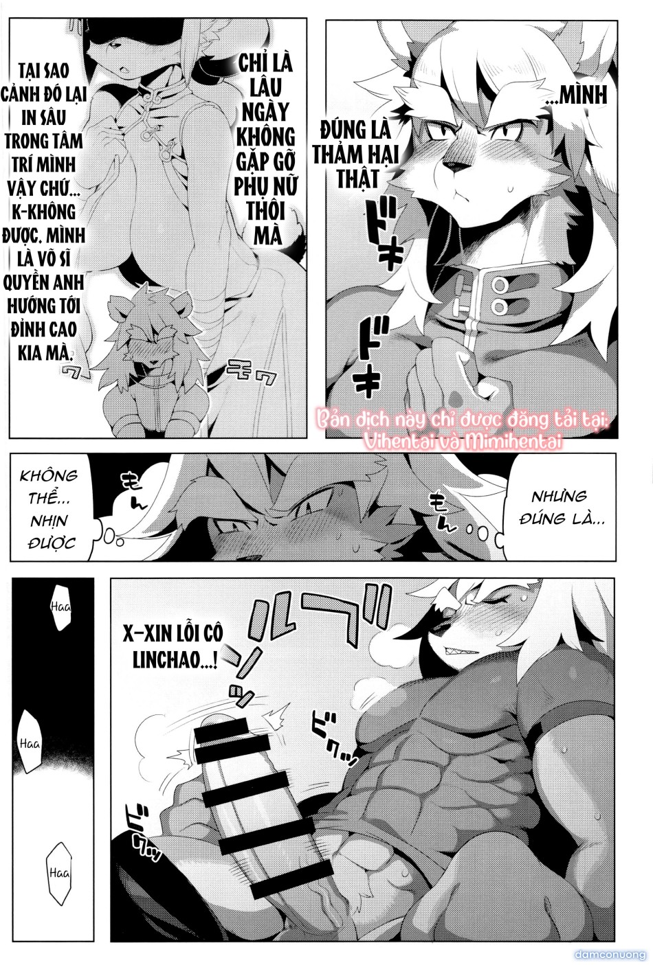 Quán Trọ Panda 