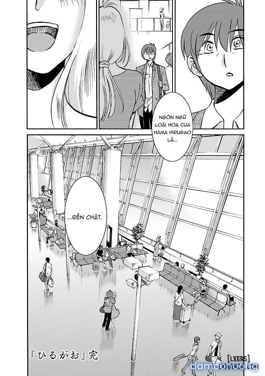 Hirugao 5 