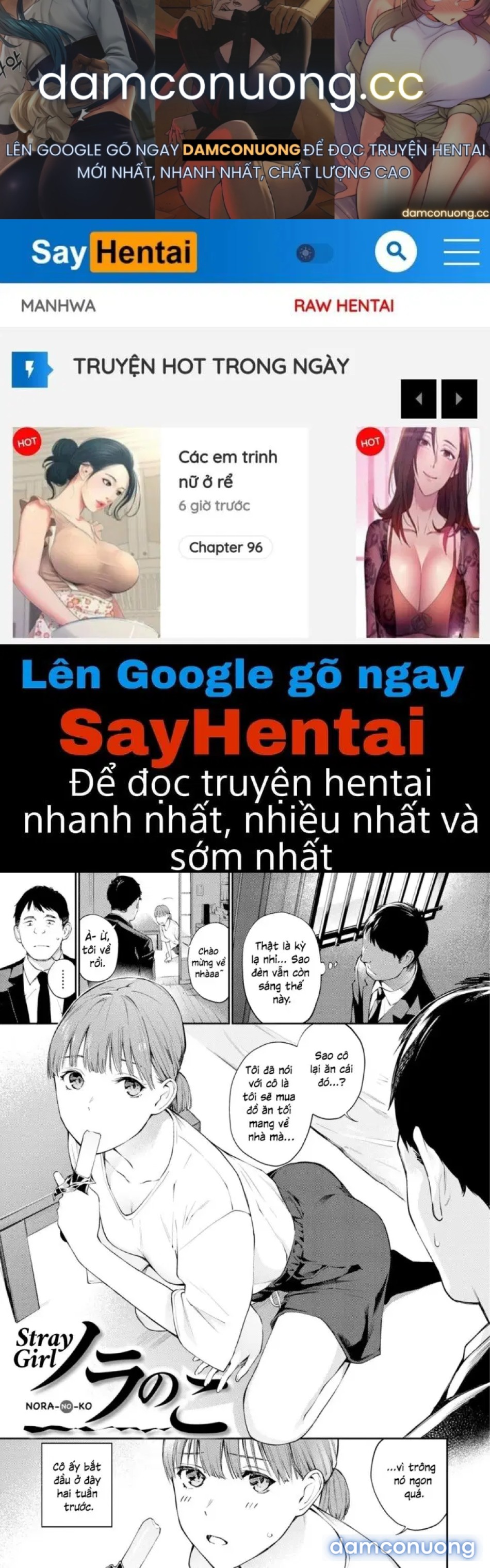 Cô gái lạc lối 
