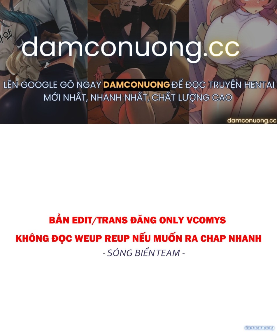 Mối quan hệ bạn bè vững chắc 