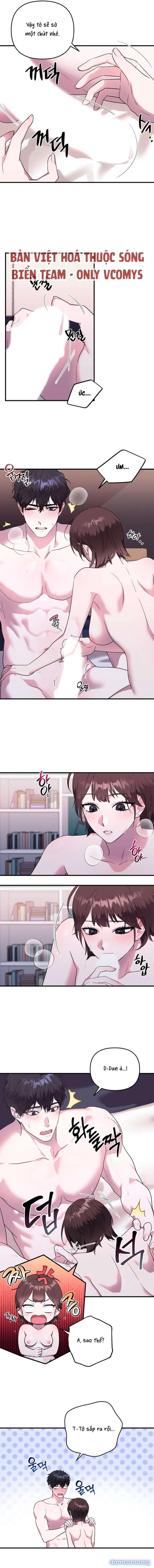 Mối quan hệ bạn bè vững chắc 