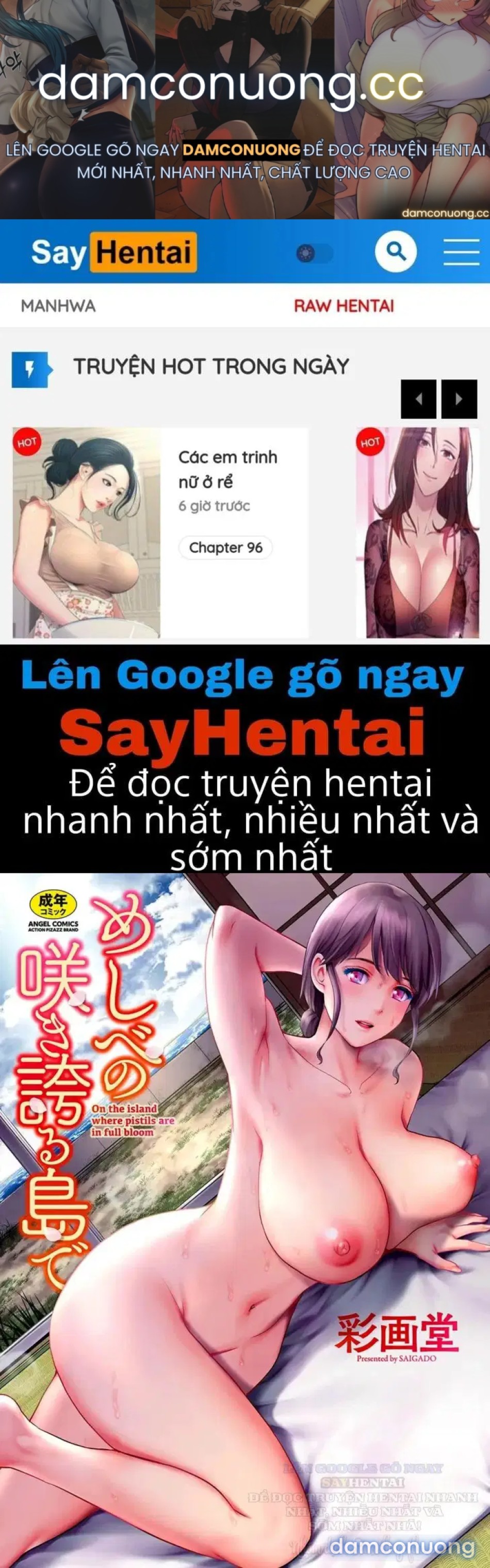 Trên hòn đảo đầy hoa nở 