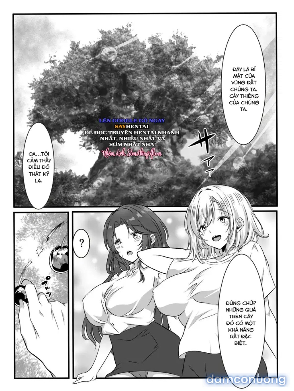 Tù trưởng đảo Yuri cầu hôn tôi 