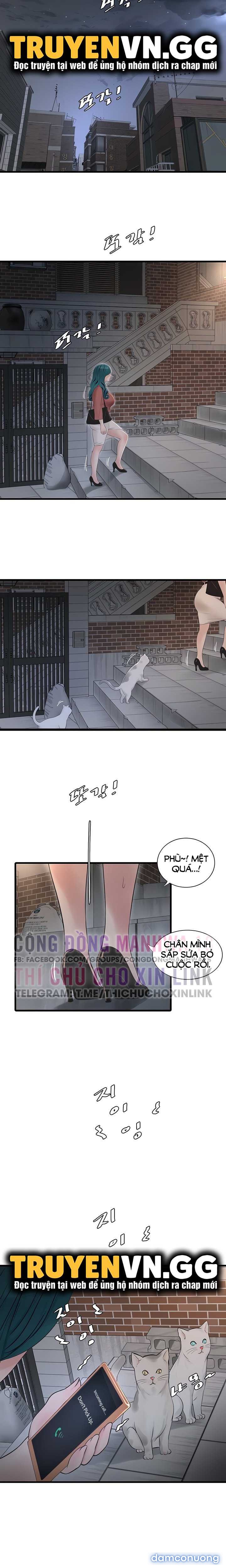 Nhật Ký Thông Lỗ 