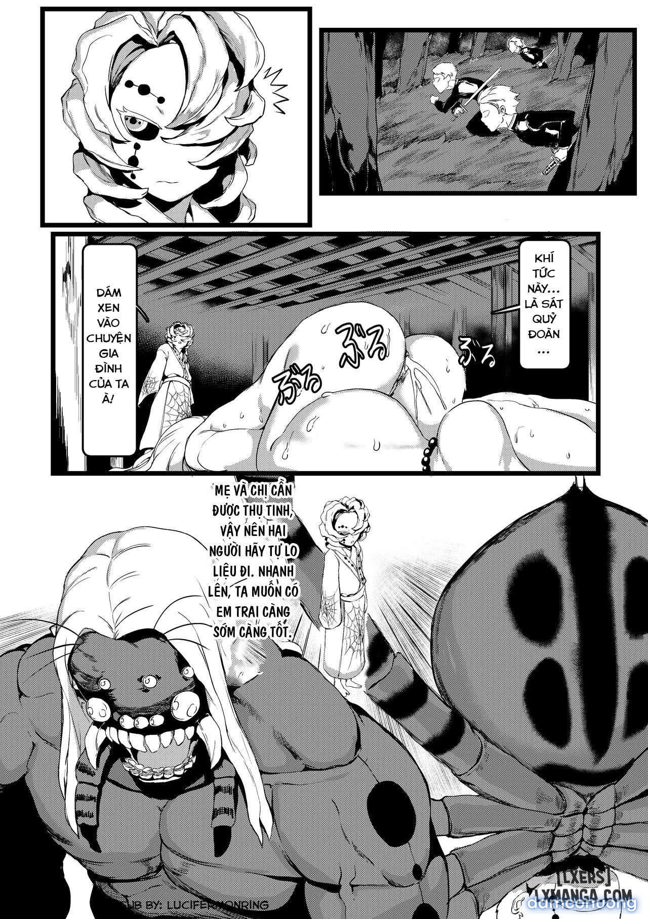 Spider Family 