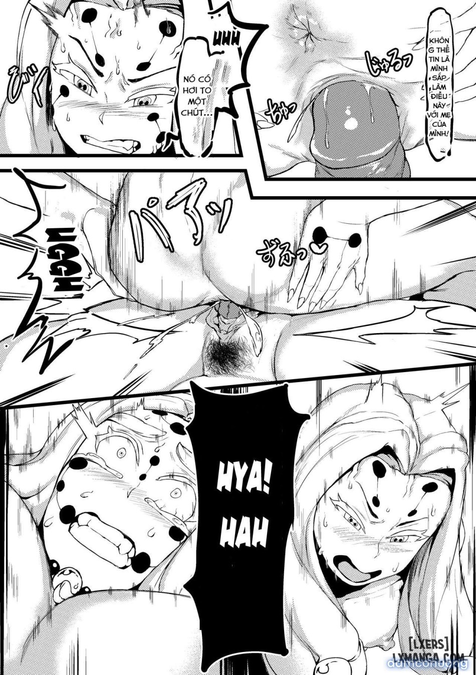 Spider Family 