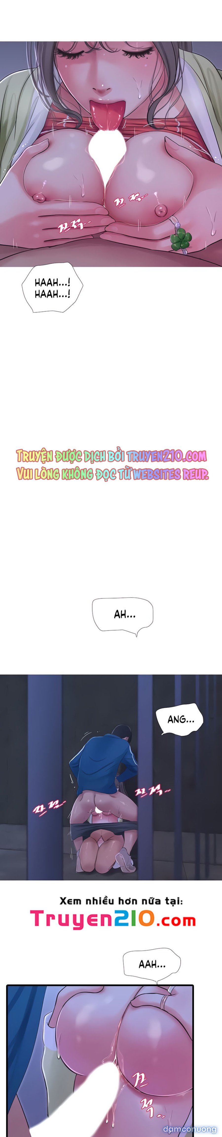 Em Chồng Và Chị Dâu 