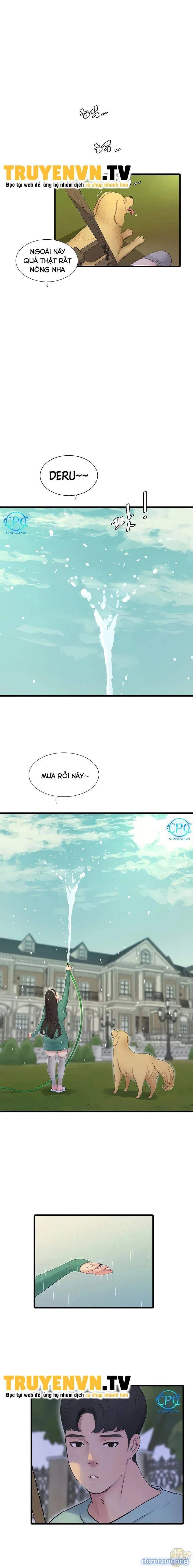 Các em trinh nữ ở rể 