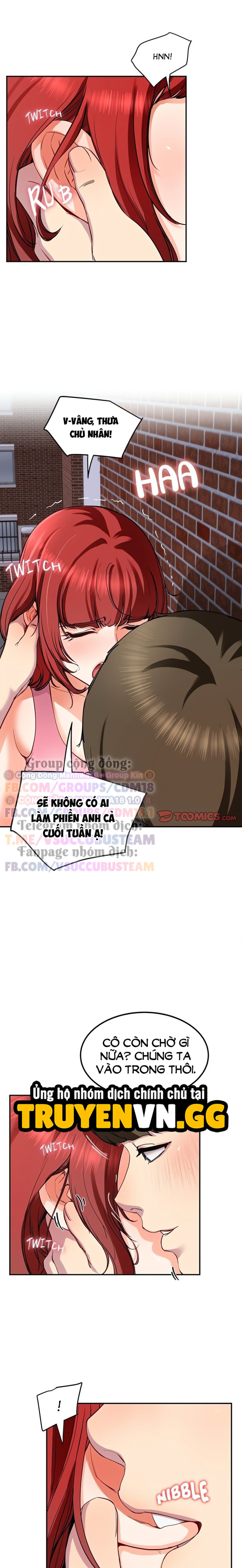 Ông Hoàng Harem 