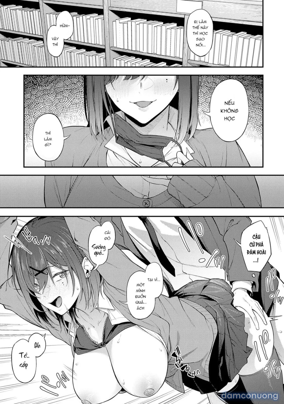 Awaku, Koi, Koi 