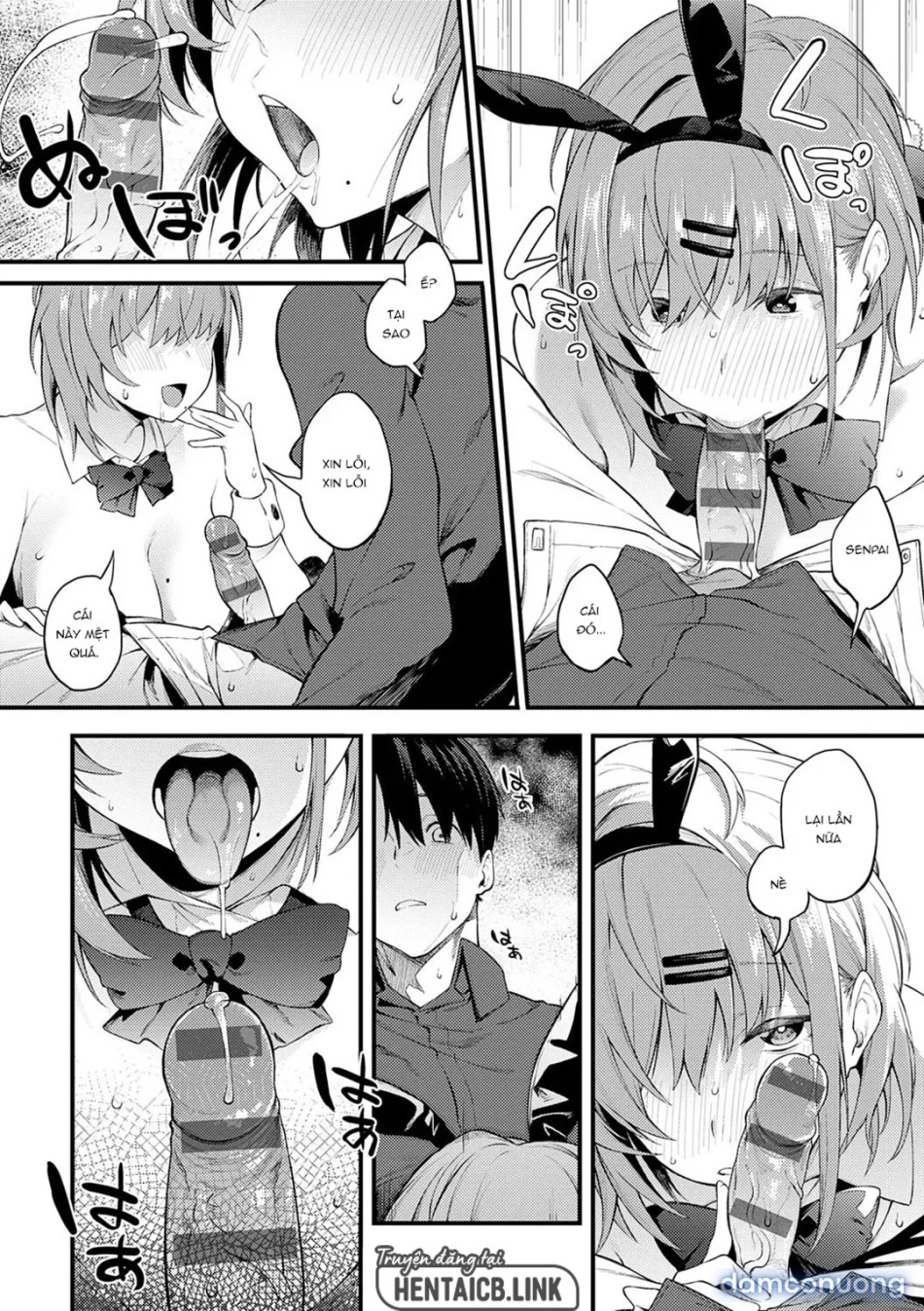 Awaku, Koi, Koi 