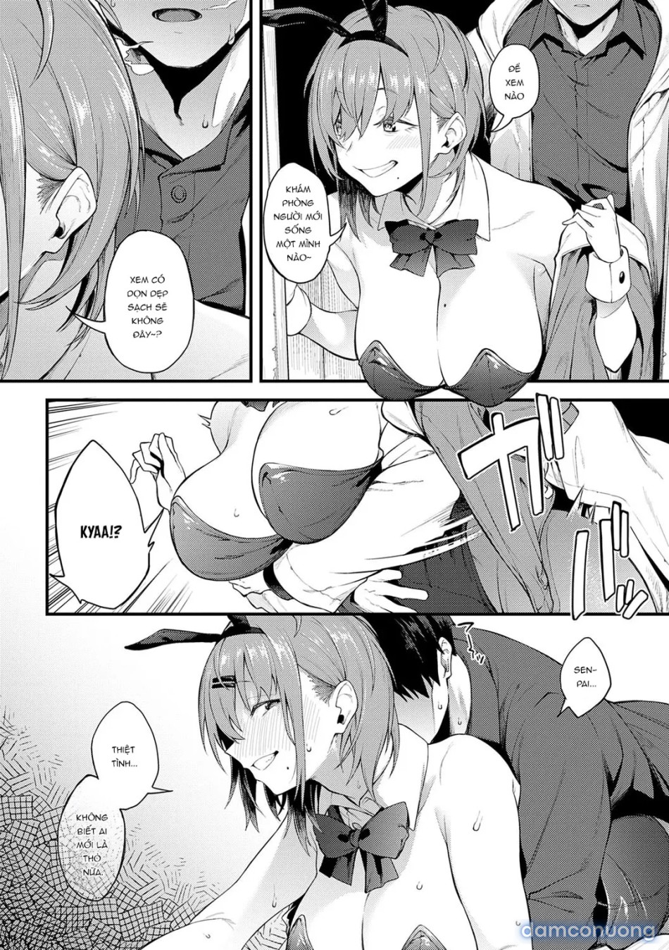 Awaku, Koi, Koi 
