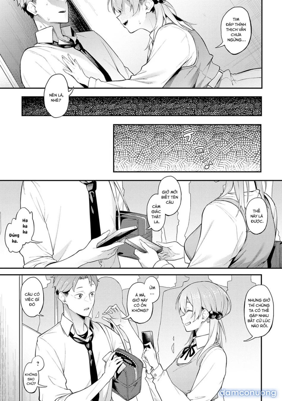 Awaku, Koi, Koi 