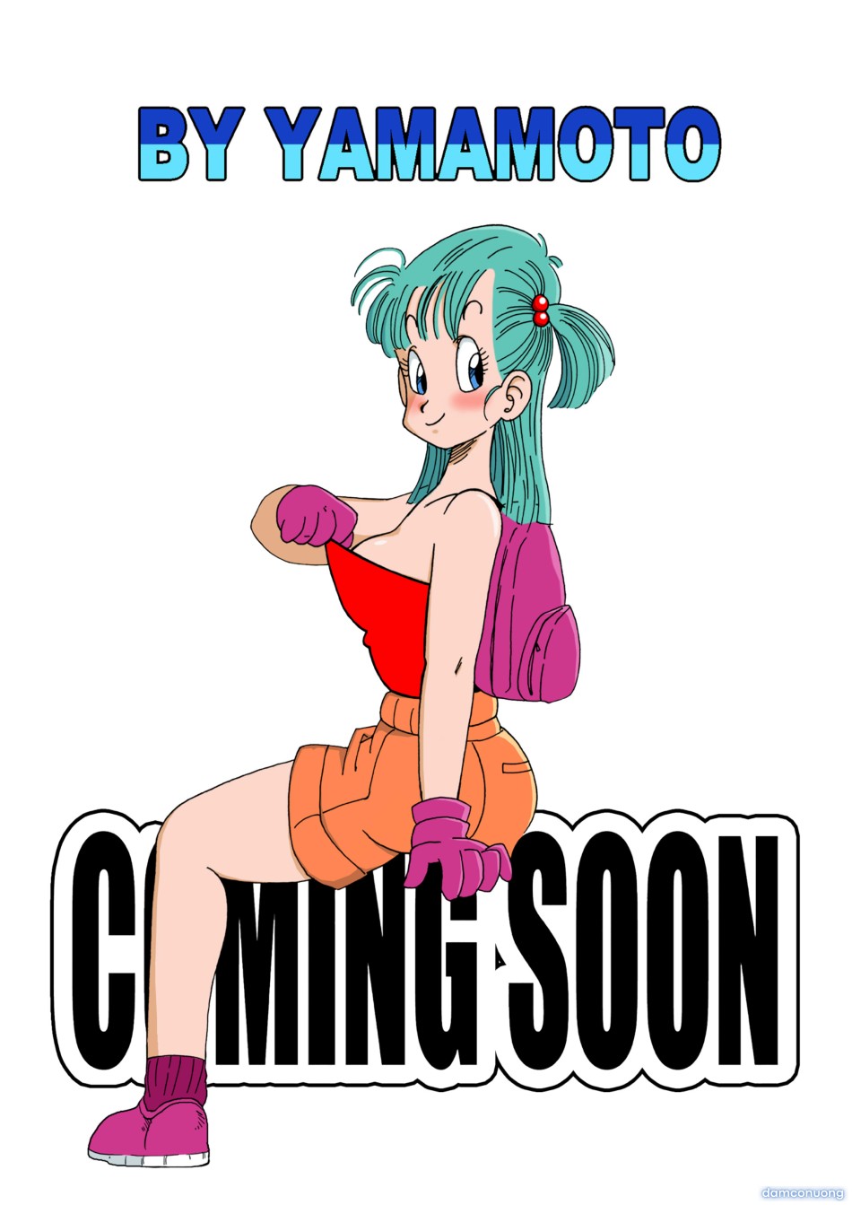 Bulma and Friends 