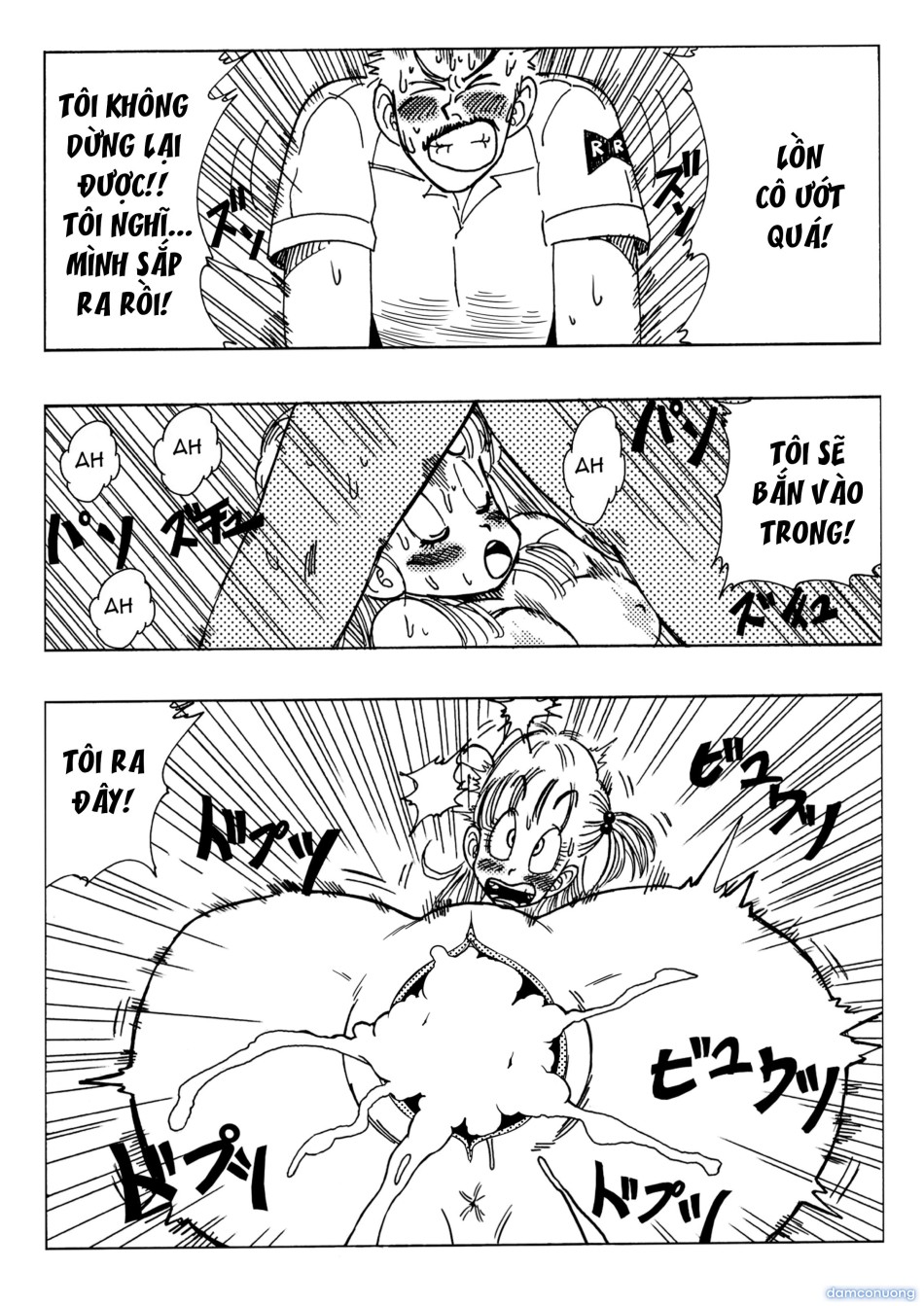 Bulma and Friends 