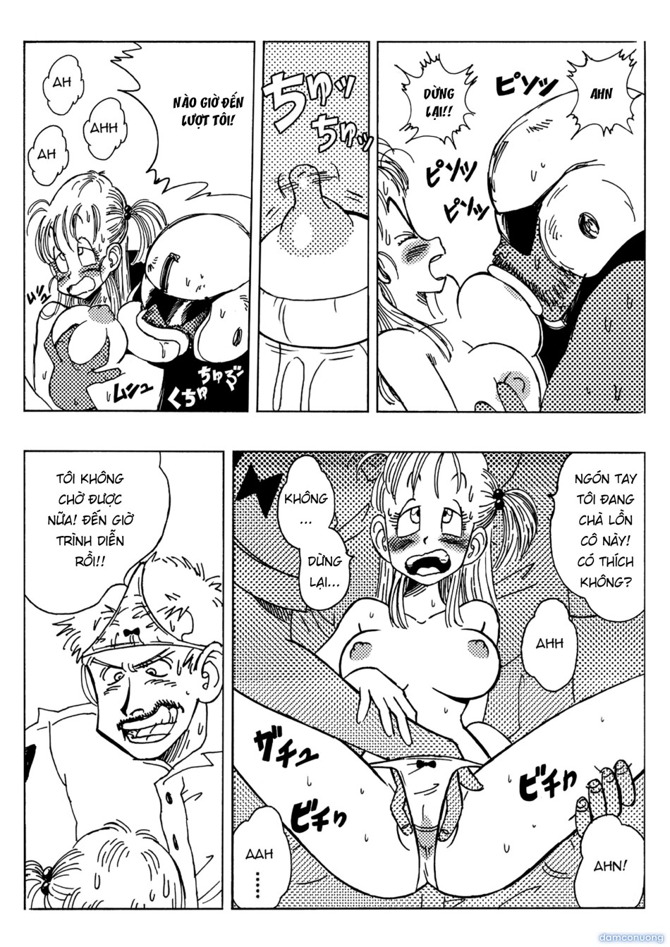 Bulma and Friends 