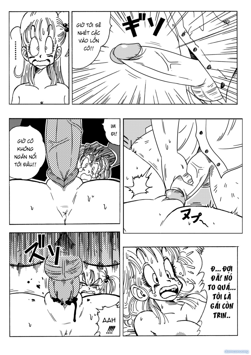 Bulma and Friends 