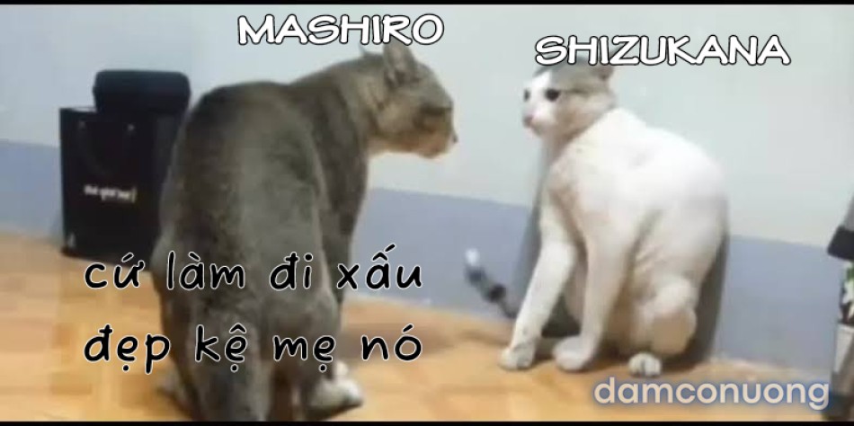 Sự suy đồi của cục trưởng kanna 