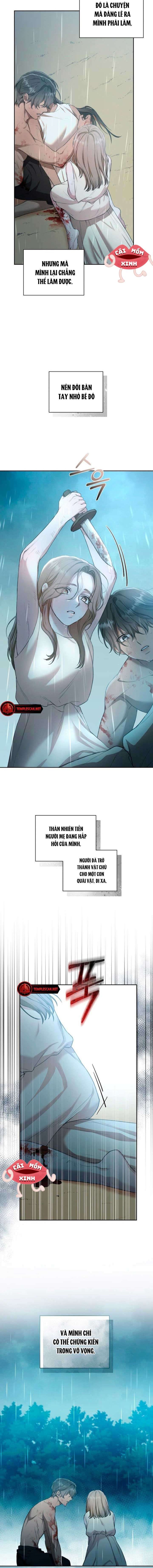 Khu Rừng Hoang Dã 