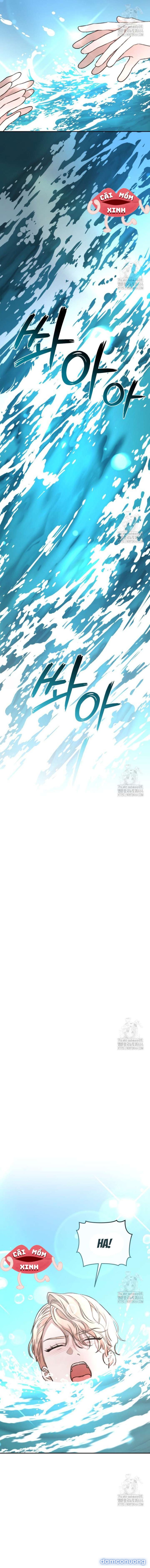Khu Rừng Hoang Dã 