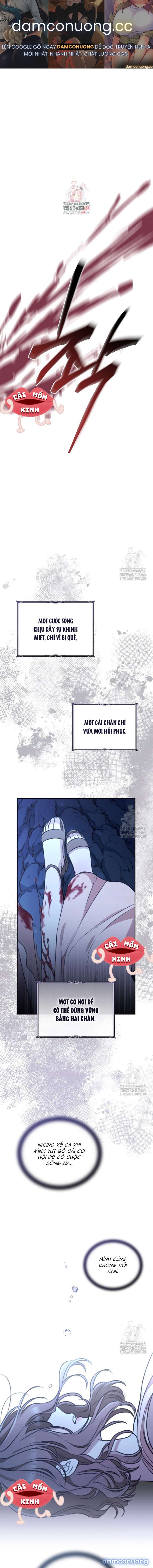 Khu Rừng Hoang Dã 