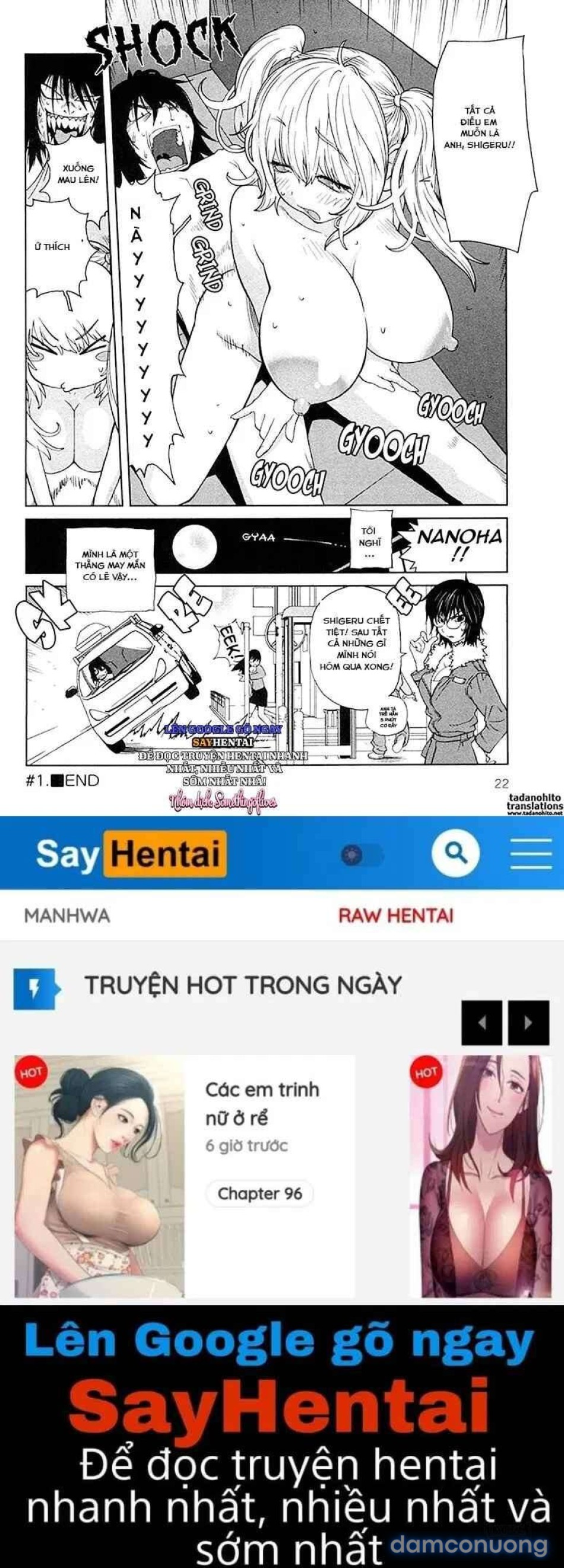 Ngày Vàng Hứng Khởi Khi Sữa Ngọt Lên Ngôi 