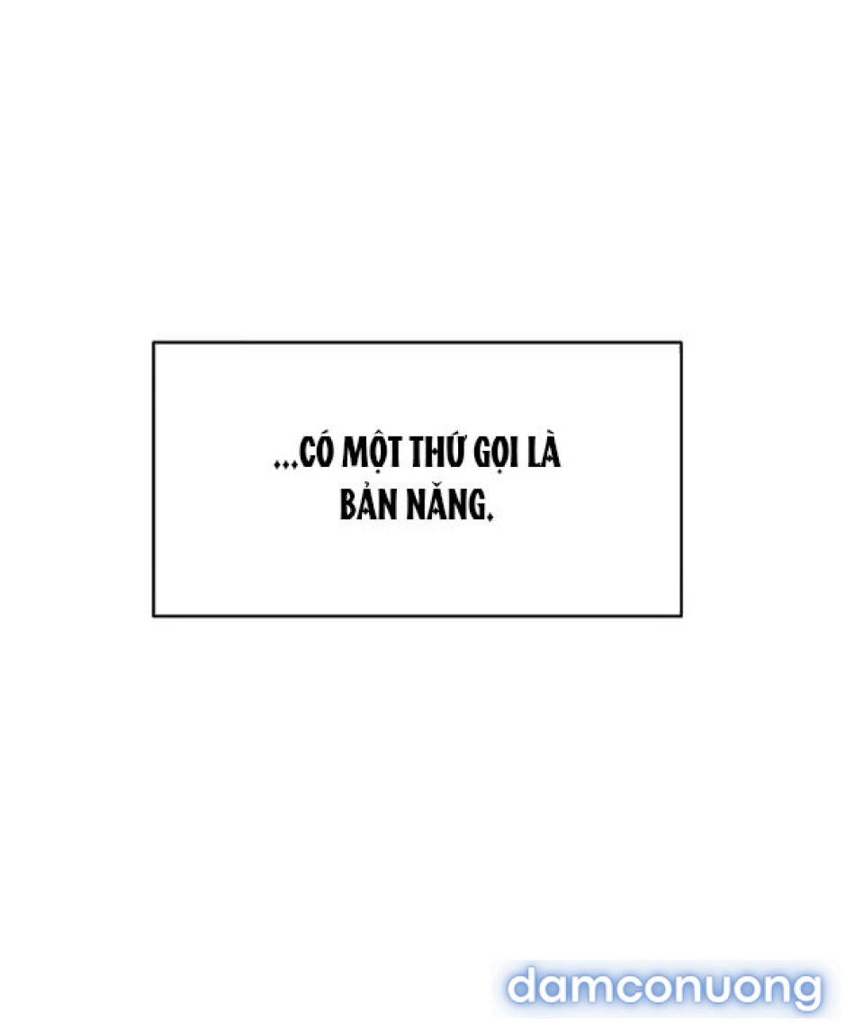 CHIẾN DỊCH THỦY QUỶ 