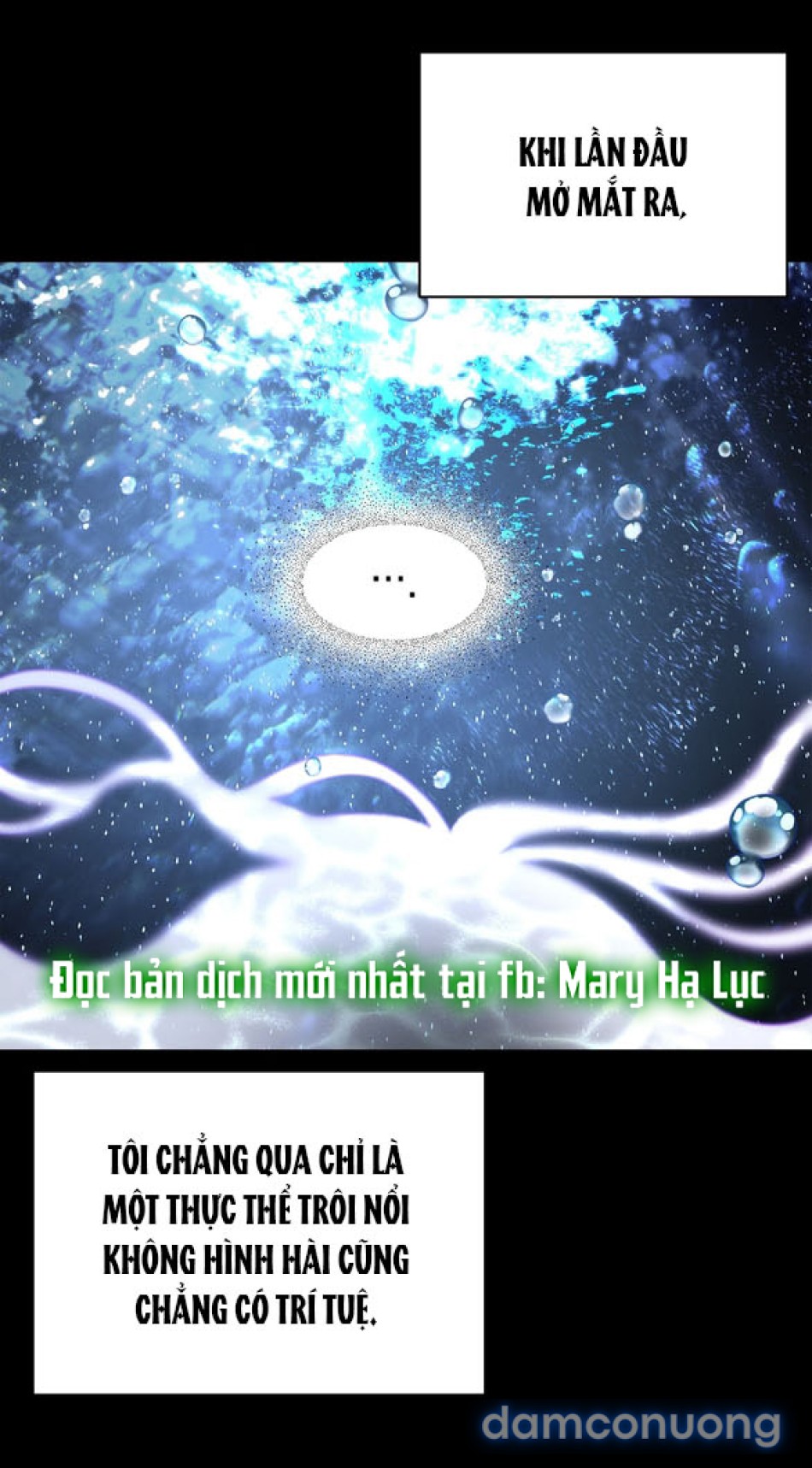 CHIẾN DỊCH THỦY QUỶ 