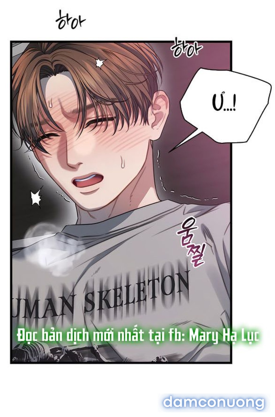 CHIẾN DỊCH THỦY QUỶ 