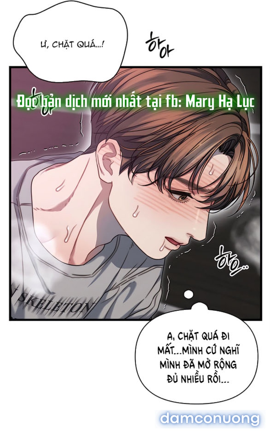 CHIẾN DỊCH THỦY QUỶ 