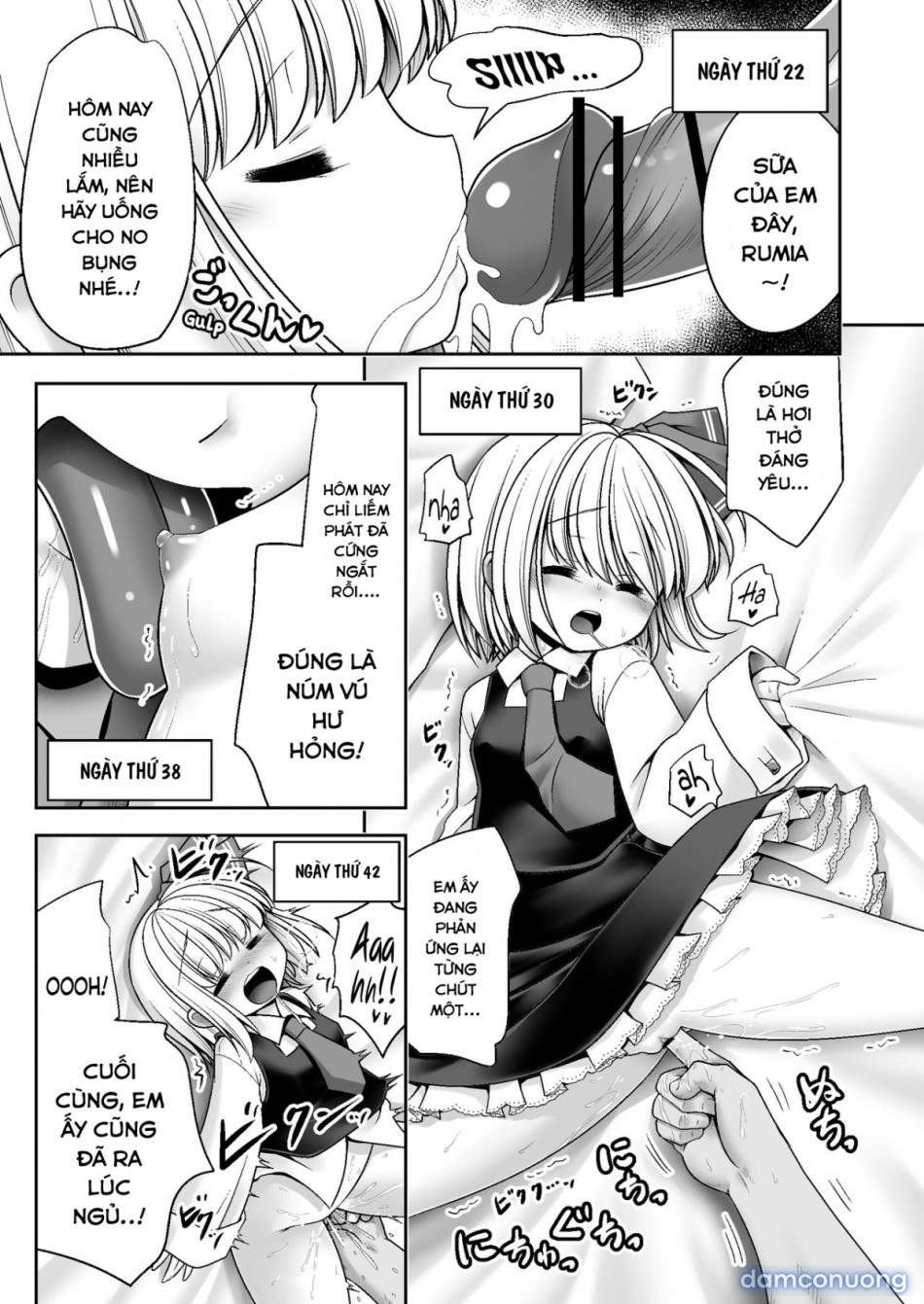 Phát triển tư nhân (Touhou Project) 