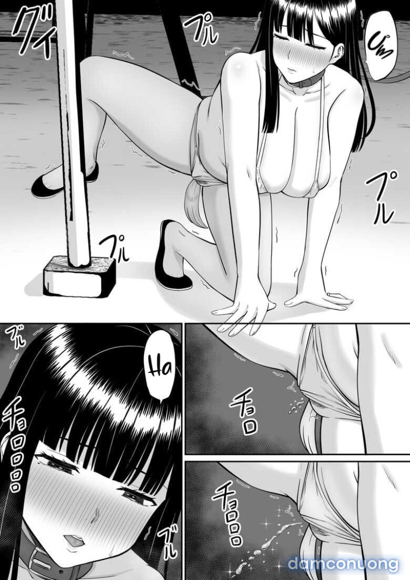 Ijimekko ni Haha wo Netorareta Hanashi ga Kikitai? 