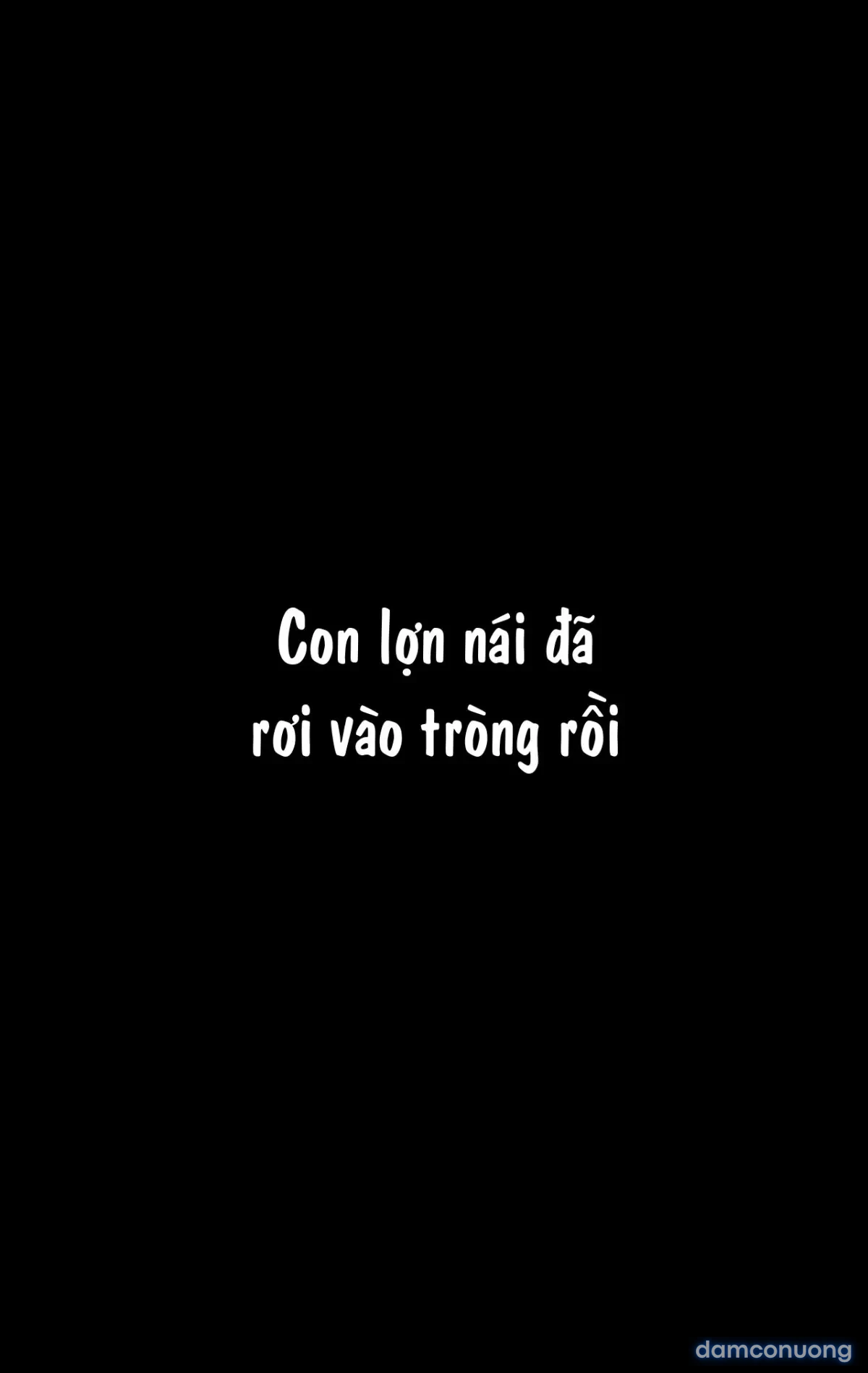 Tập truyện Rbqinori 