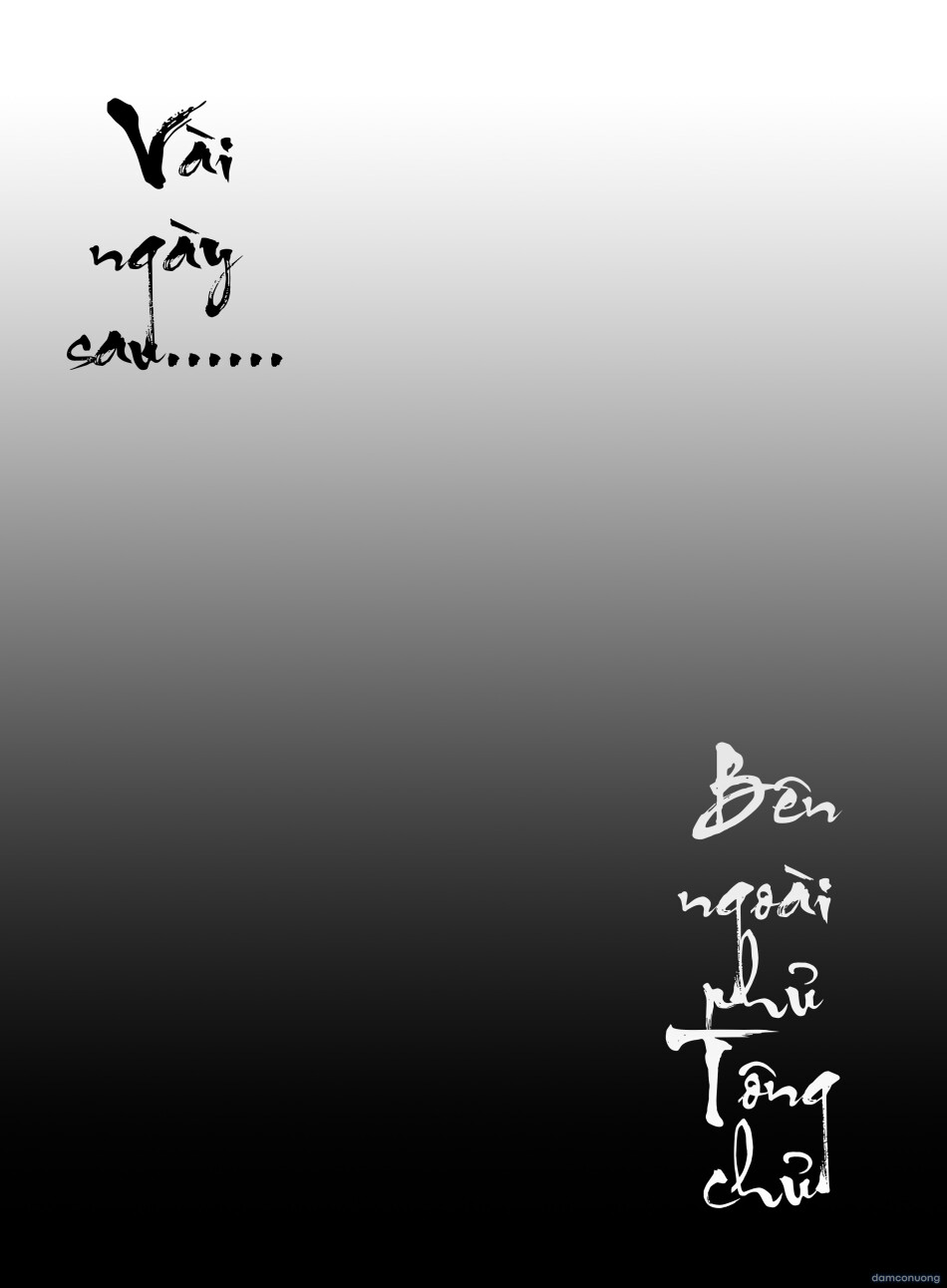 Tông Chủ Hợp Hoan Tông 
