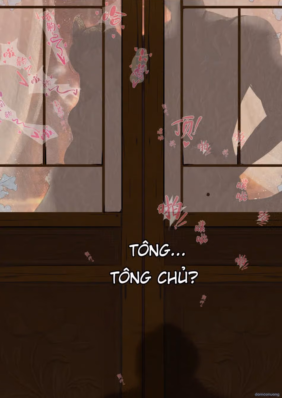 Tông Chủ Hợp Hoan Tông 