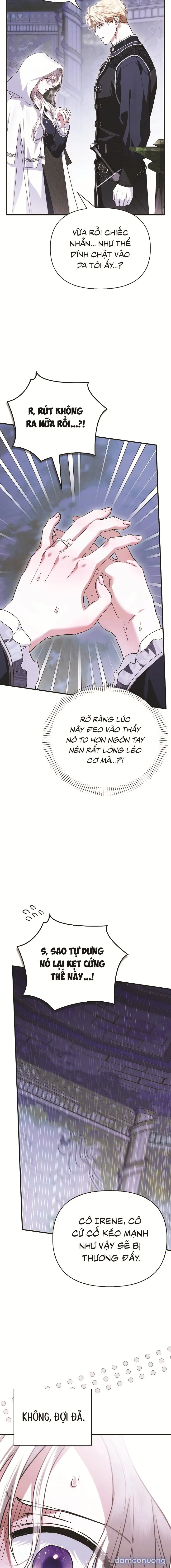 Rõ Ràng Chồng Tôi Là Một Thánh Kỵ Sĩ 