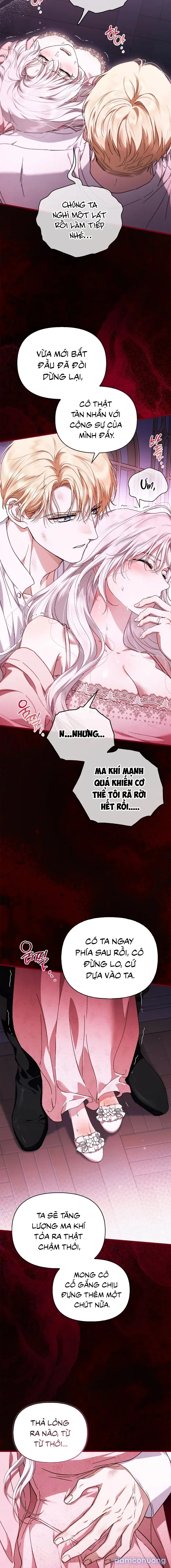 Rõ Ràng Chồng Tôi Là Một Thánh Kỵ Sĩ 