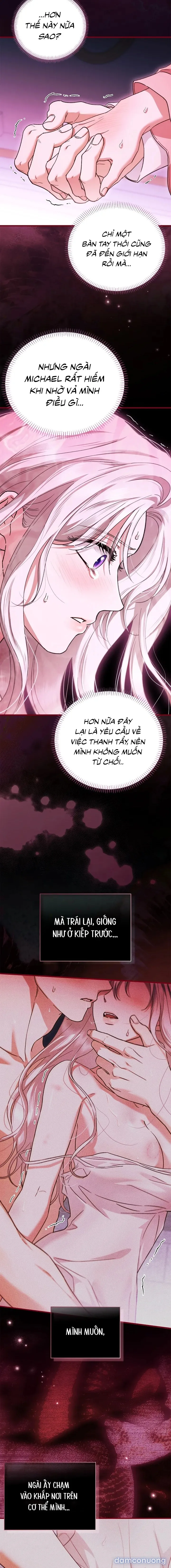 Rõ Ràng Chồng Tôi Là Một Thánh Kỵ Sĩ 