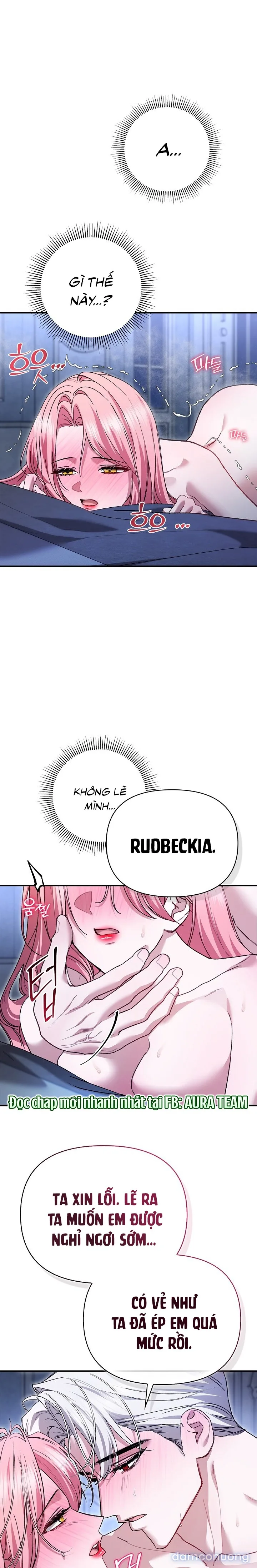 Em Đã Ăn Thay Chồng Rồi 