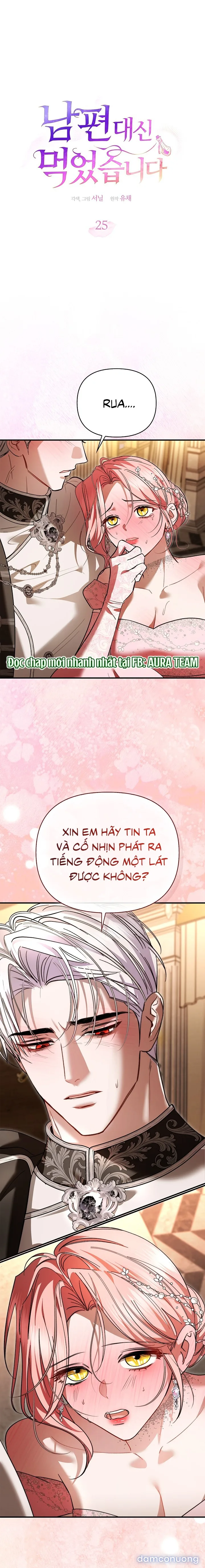 Em Đã Ăn Thay Chồng Rồi 