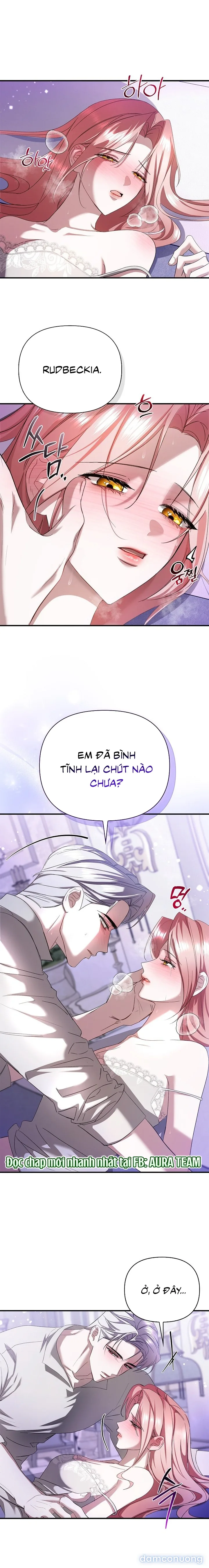 Em Đã Ăn Thay Chồng Rồi 