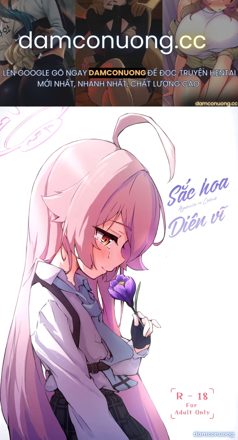 Sắc hoa diên vĩ. 